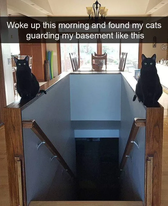 Two black cats sit alertly on opposite wooden handrails at the top of a staircase leading down into a dark basement. The…