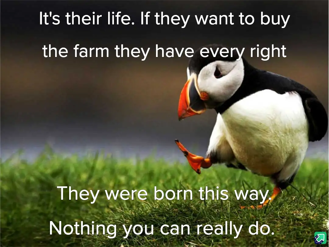 A photograph of a puffin standing on green grass, looking down with one foot lifted, overlaid with white text that reads…