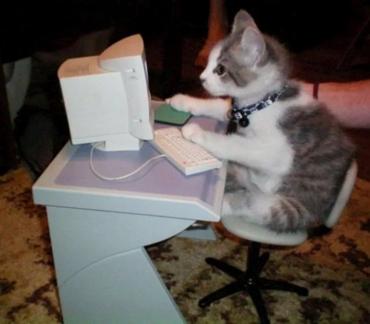 A small gray and white kitten wearing a black collar sits on a white office chair at a light blue desk, appearing to use a…
