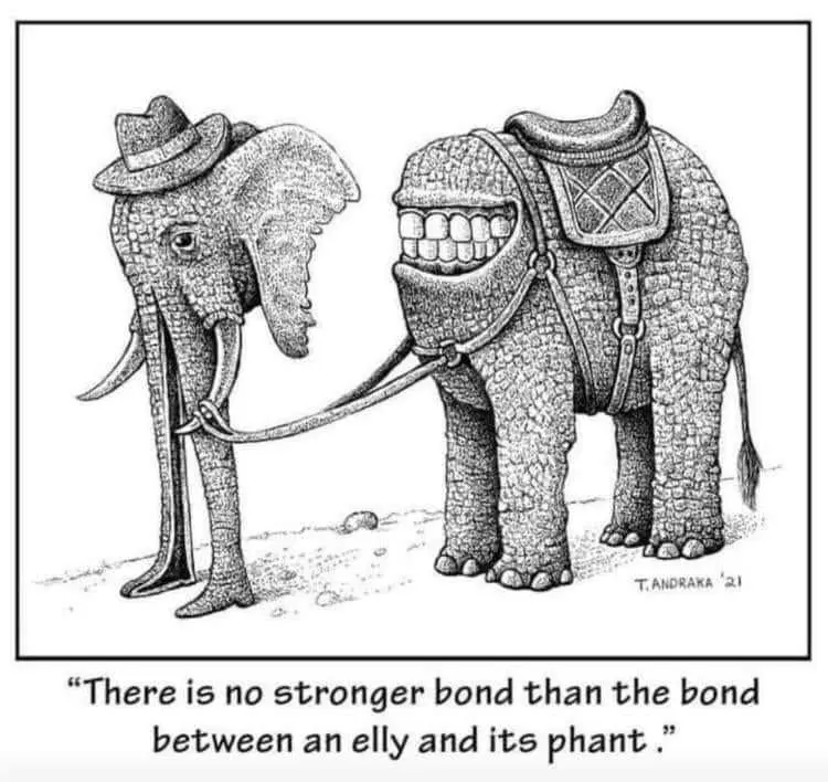 A black-and-white cartoon drawing shows two elephants. The elephant on the left wears a fedora and holds a leash attached to…