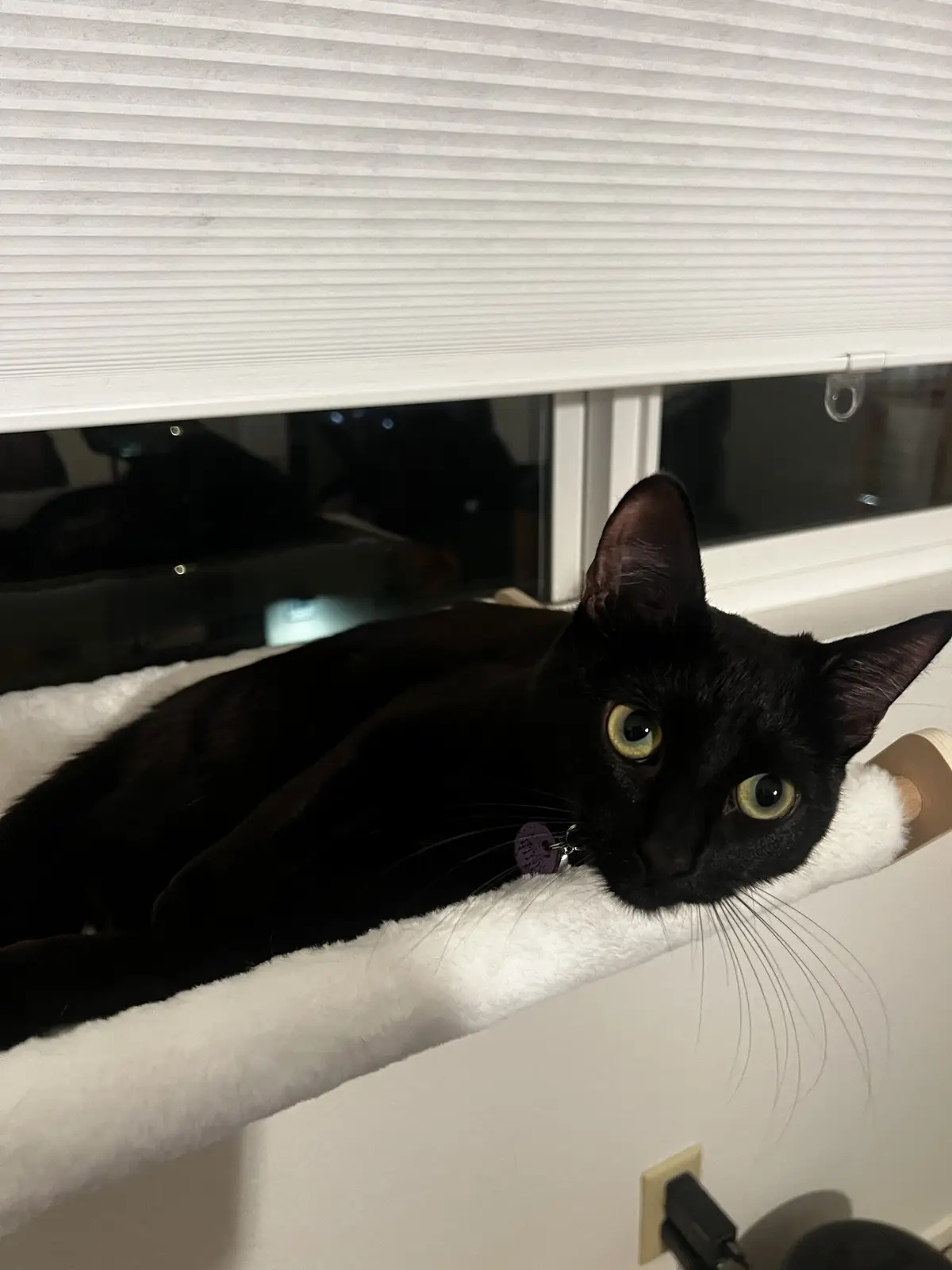 A black cat with bright yellow-green eyes lies on a white, fluffy perch near a window with closed blinds. The cat looks…