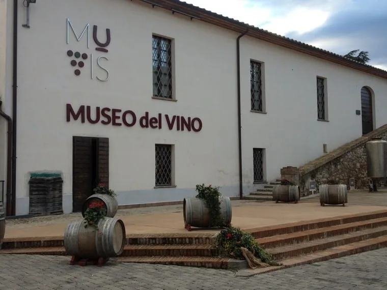 A white building with 'MUSEO del VINO' and a stylized 'MU' logo above it, surrounded by wine barrels used as planters. The…