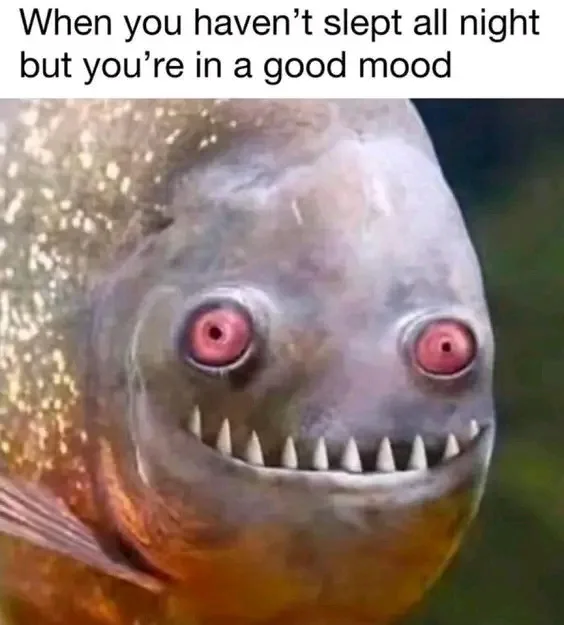 A close-up image of a piranha with wide, glowing red eyes and a toothy grin, overlaid with the text 'When you haven't slept…