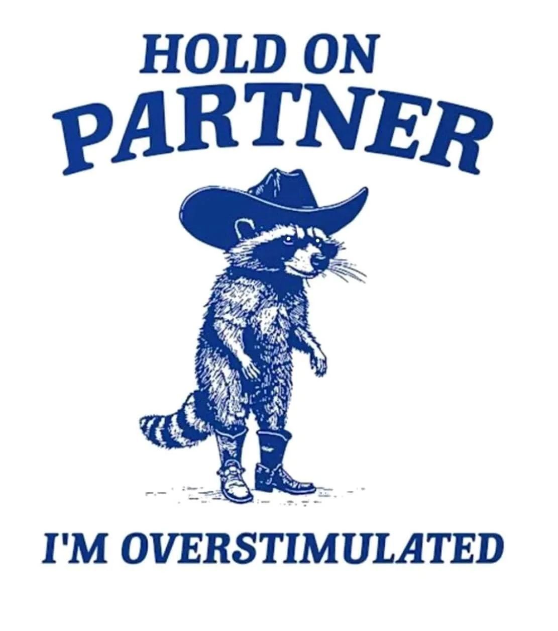 A blue ink illustration of a raccoon wearing a cowboy hat and boots, standing upright. Above the raccoon, the text reads…