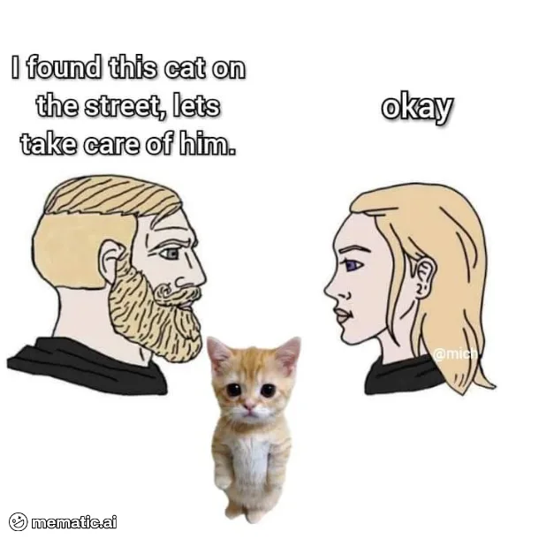 A cartoon drawing shows a bearded man and a blonde woman facing each other, with a small orange kitten standing between…
