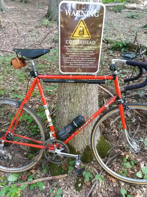 A bright red bicycle is leaning against a tree in a wooded area, positioned directly in front of a brown warning sign. The…