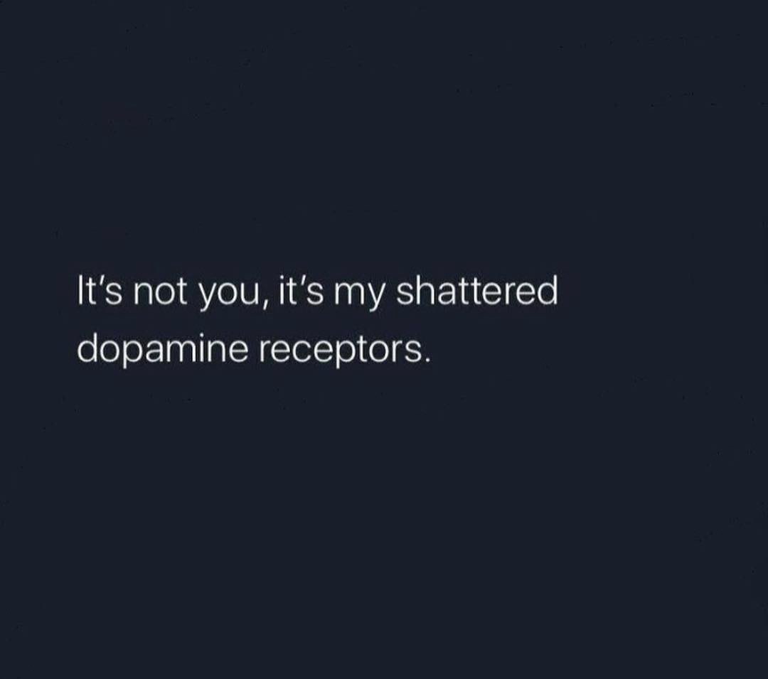 A dark navy background with centered white text that reads 'It's not you, it's my shattered dopamine receptors.' The image…