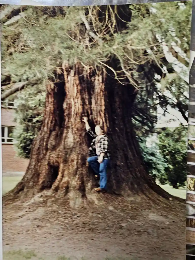 A person in a plaid shirt and jeans is standing next to a massive, ancient-looking tree with a very thick trunk, appearing…