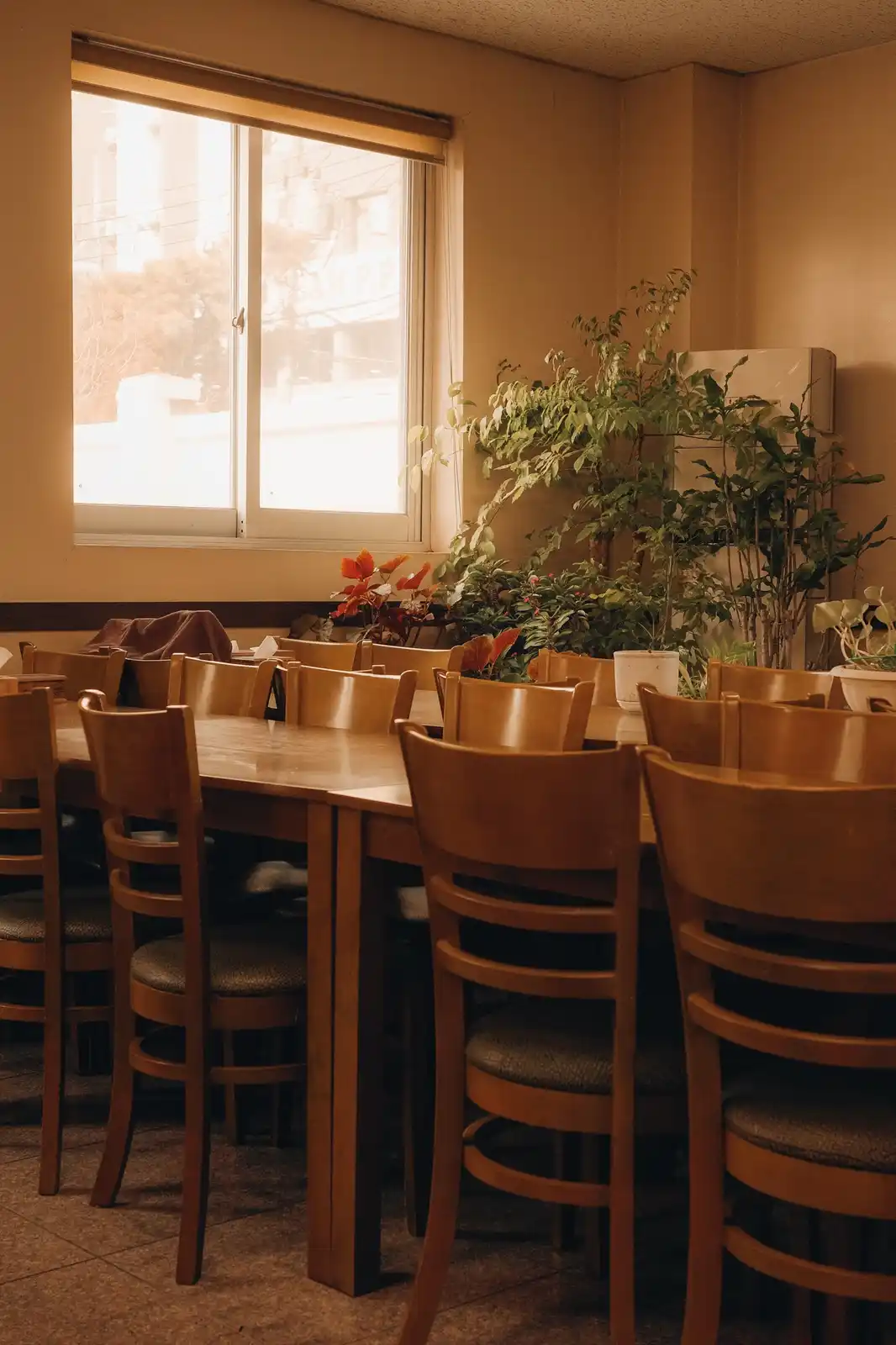 A warmly lit, empty dining room with wooden tables and chairs, potted plants, and a window showing a city view. The overlaid…