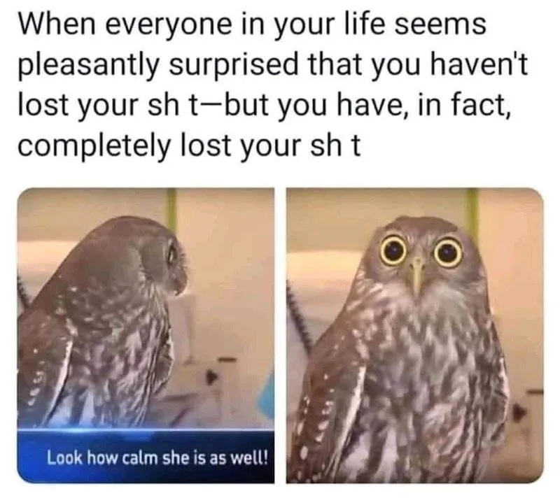 The image shows two side-by-side photos of an owl. In the left photo, the owl is looking away calmly, with a caption below…