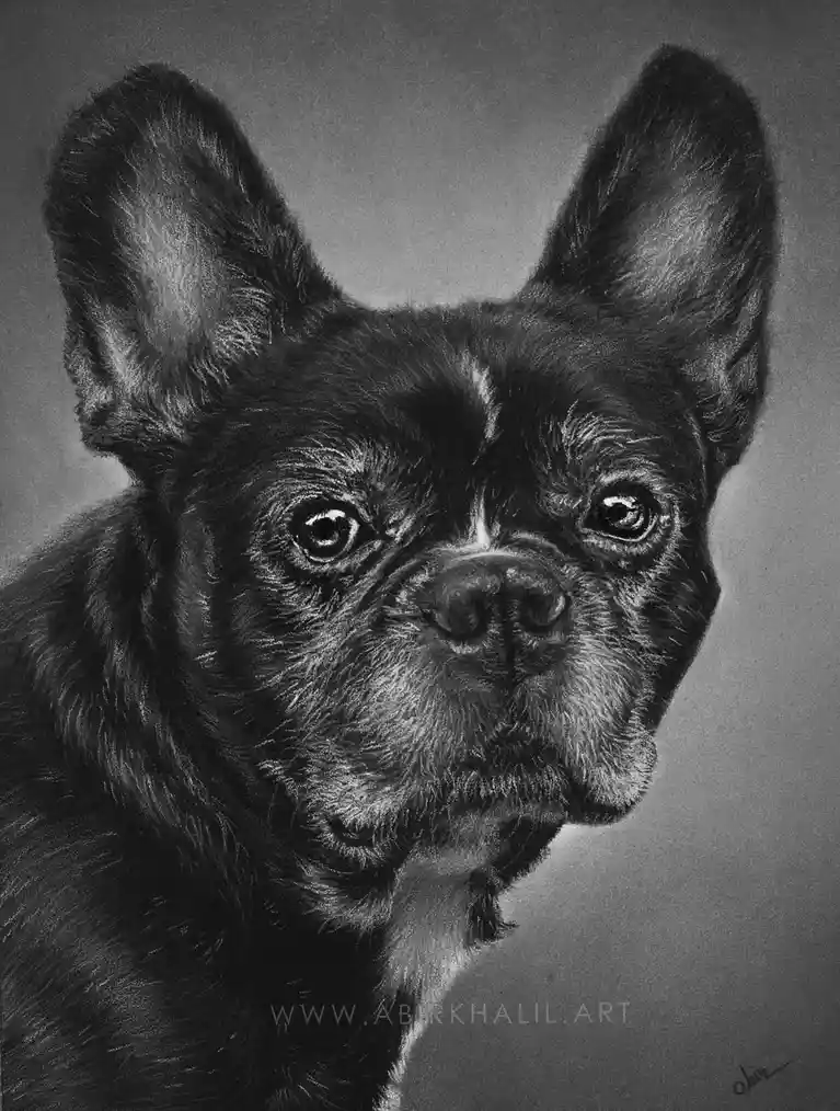 A highly detailed black-and-white pencil drawing of a black French Bulldog with large upright ears and expressive eyes…