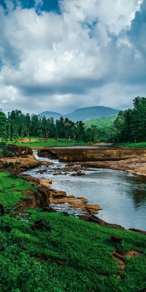 A scenic landscape photo shows a river flowing over rocks with a small waterfall, surrounded by lush green grass and trees…