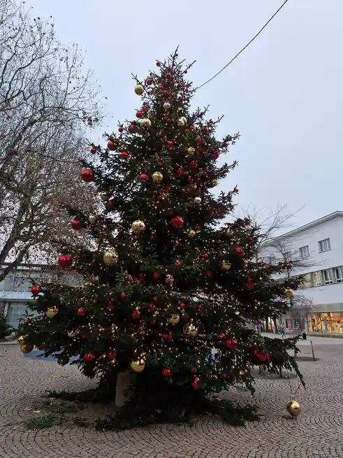 A large, decorated outdoor Christmas tree with red and gold ornaments and string lights is visibly leaning heavily to one…