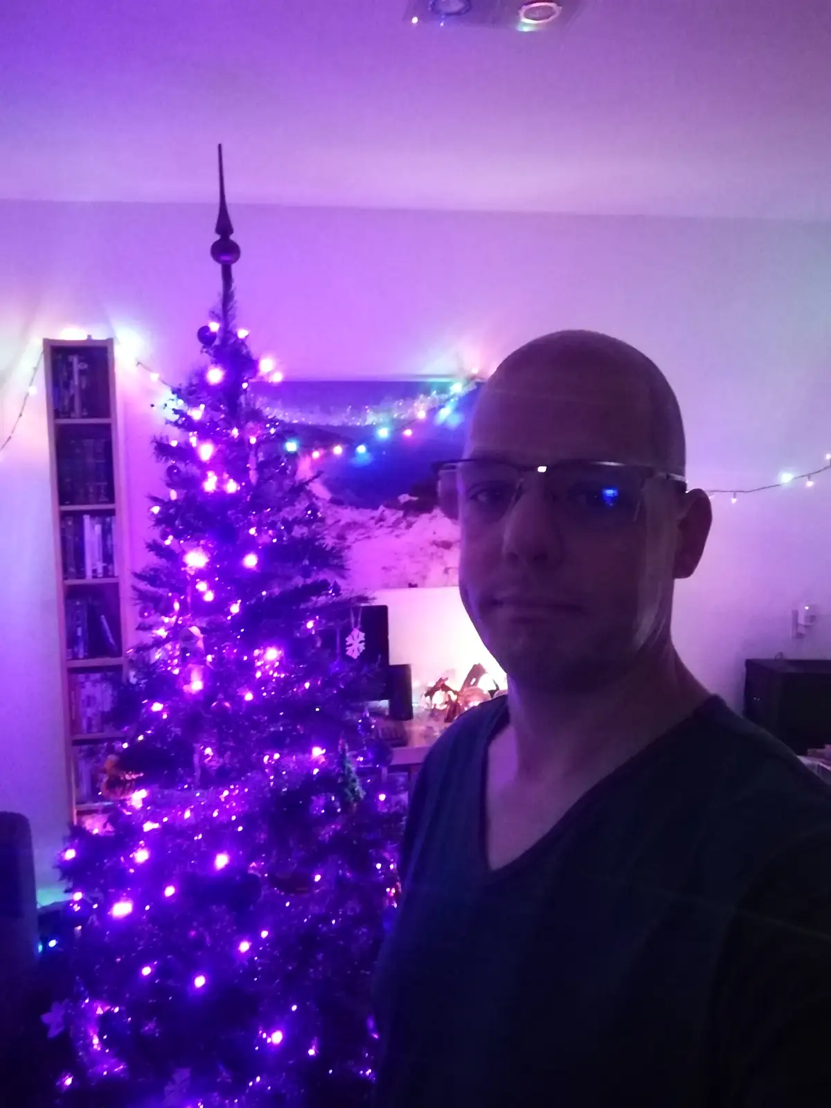 Merry Christmas Greetings from the Netherlands!