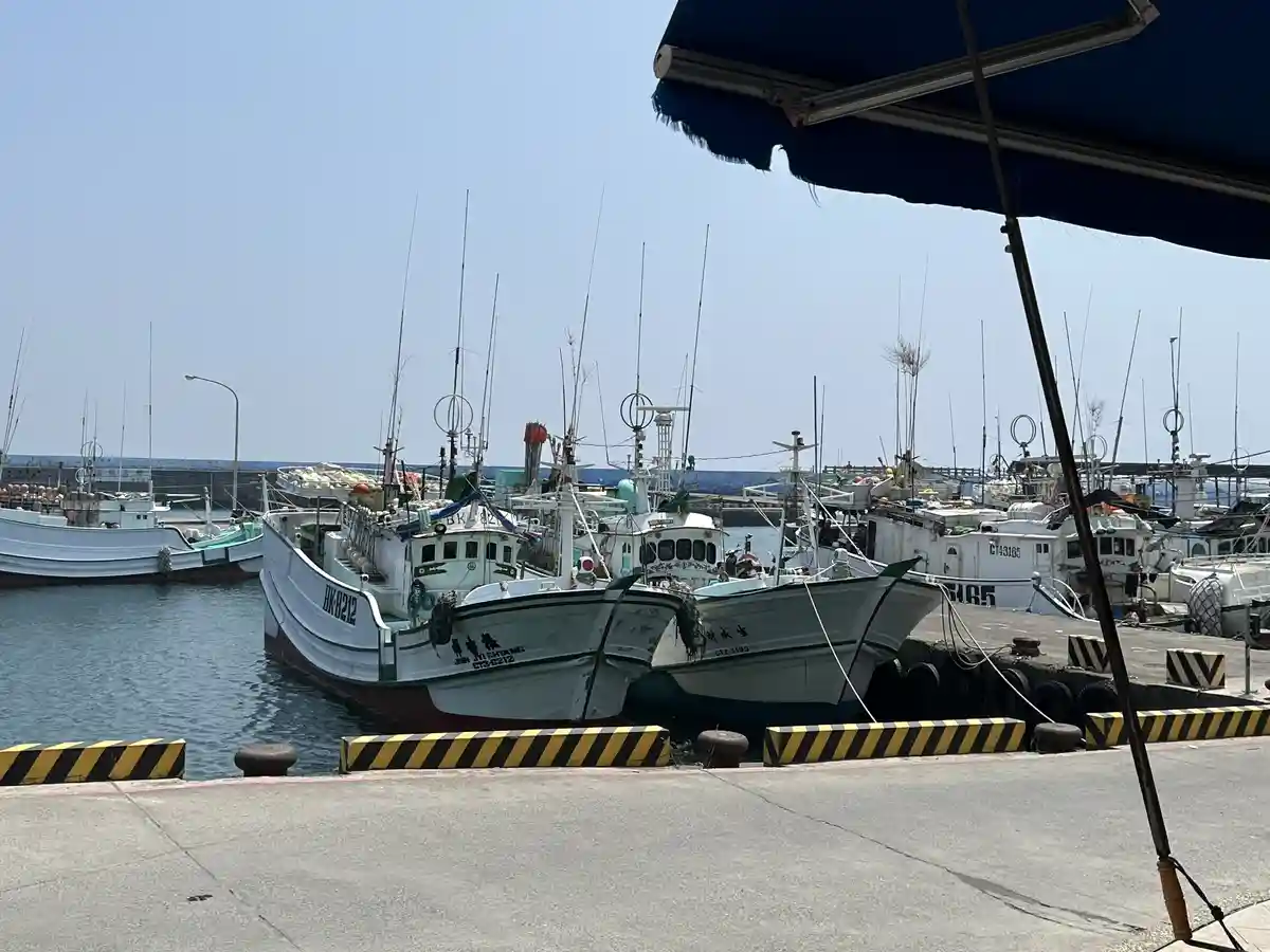 A photo of several fishing boats docked in a harbor under a clear sky, viewed from under a blue awning. The boats are white…