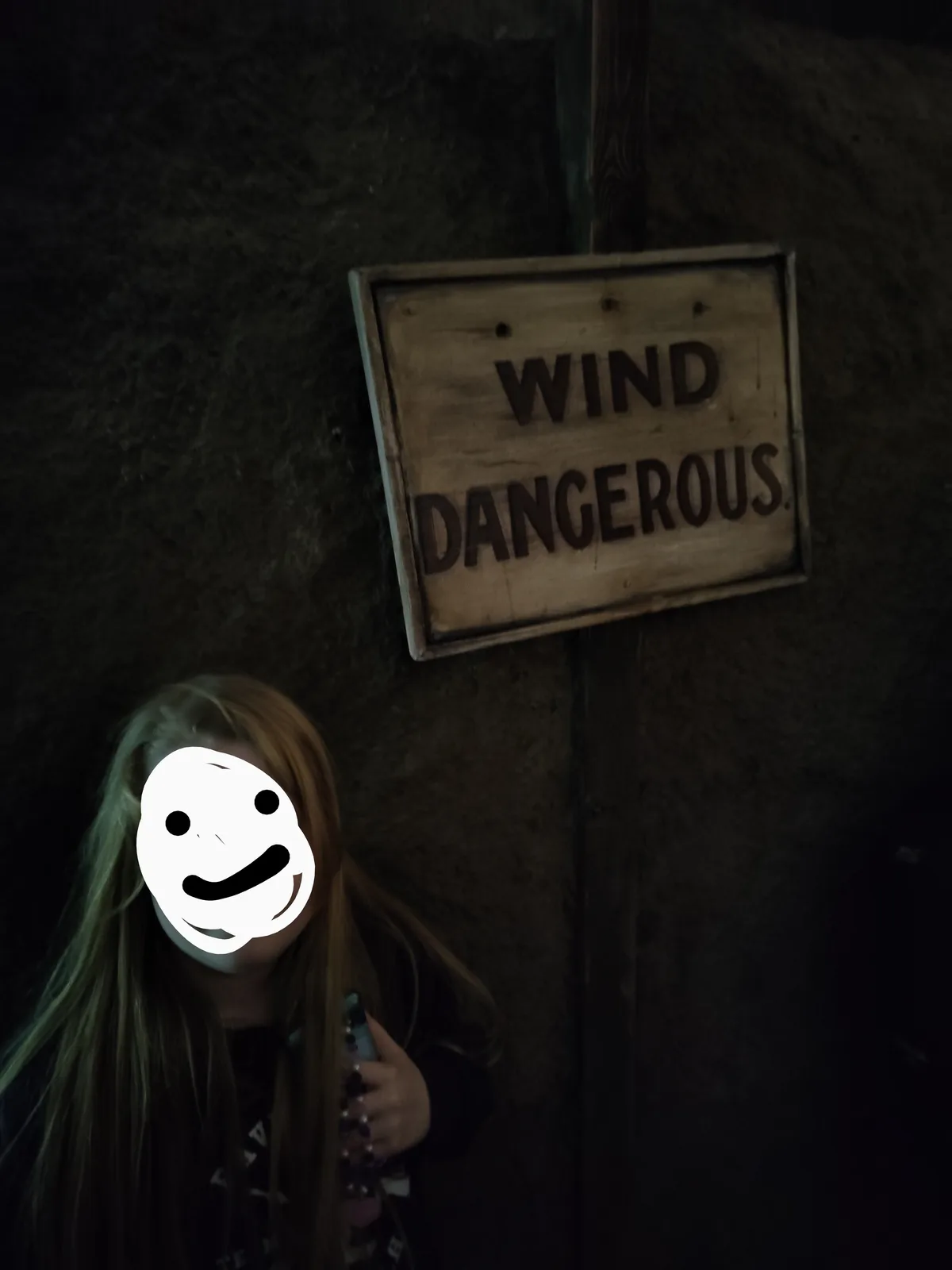 A person with long hair and a white cartoon smiley face overlay stands in front of a wooden sign that reads 'WIND DANGEROUS'…