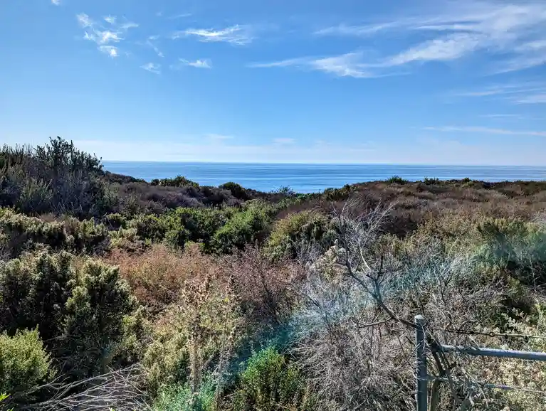 A scenic photo of a coastal landscape with blue ocean, sky, and shrubbery, overlaid with the text 'i'm not lazy, i'm in…