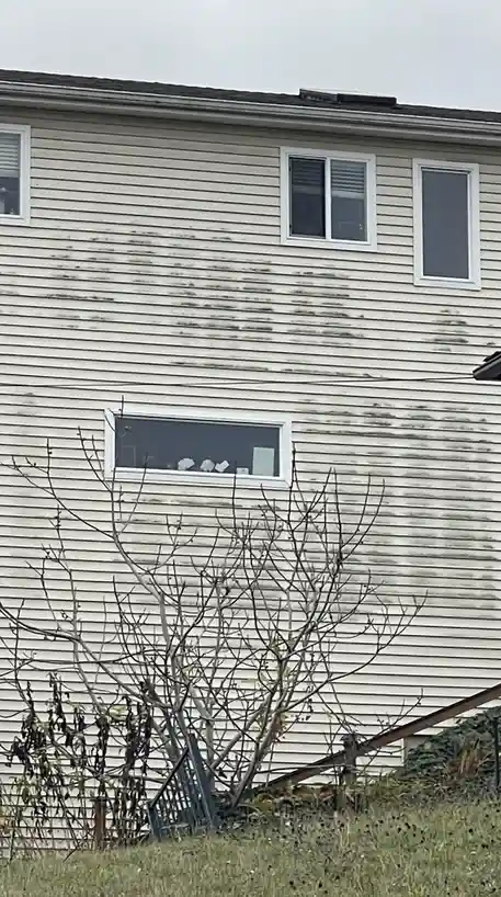 Thermal Bridging: A Real-Life Example