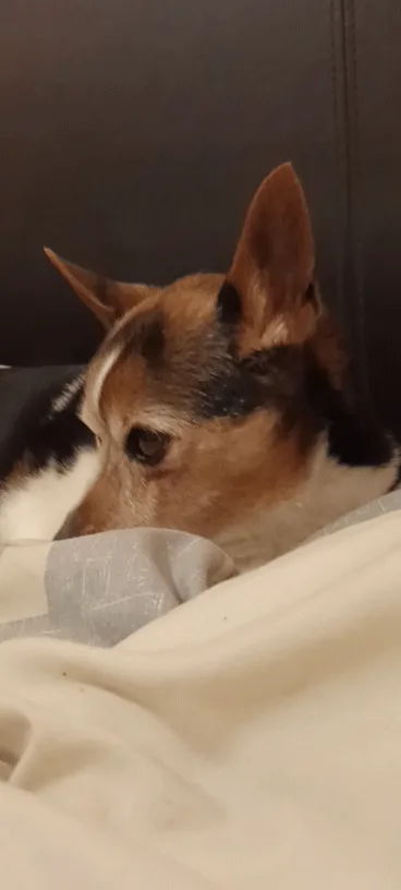 Almost Time for My Little Guy to Hit the Hay