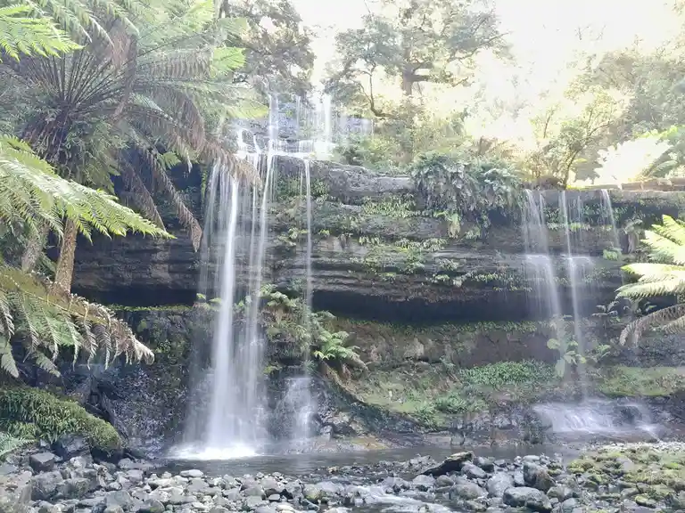 A serene, multi-tiered waterfall cascades down mossy, layered rock formations surrounded by lush green ferns and trees under…