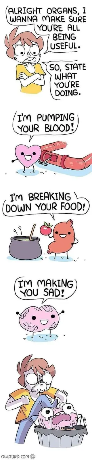 A cartoon person confronts their personified organs, asking them to explain their functions. The heart says it pumps blood…