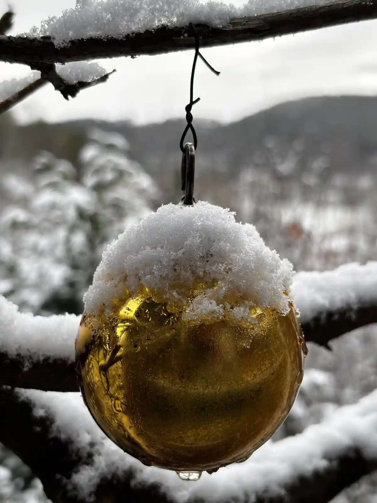 A golden, reflective Christmas ornament hangs from a snow-covered tree branch in a winter scene, with a mound of fresh snow…