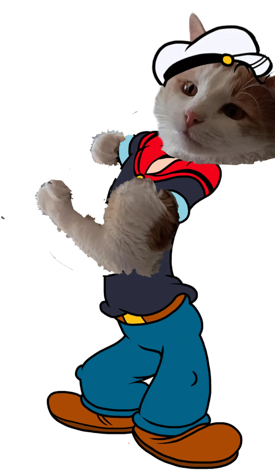 A real cat's face is photoshopped onto the upper body of a cartoon sailor character, who is flexing his arms. The cat wears…