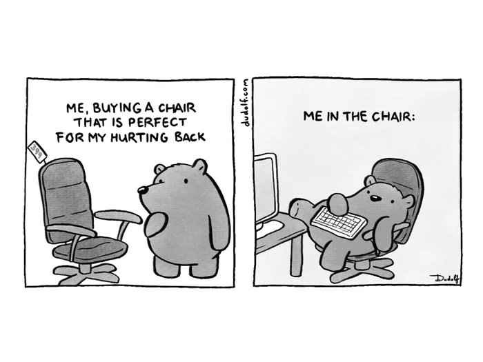 A two-panel comic strip by Dudel featuring a bear. In the first panel, the bear stands beside a new ergonomic office chair…