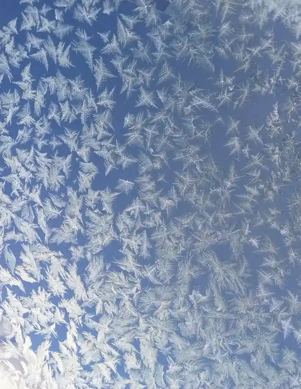 A close-up photograph shows intricate, feathery frost patterns covering a glass surface, with a blue sky visible through the…