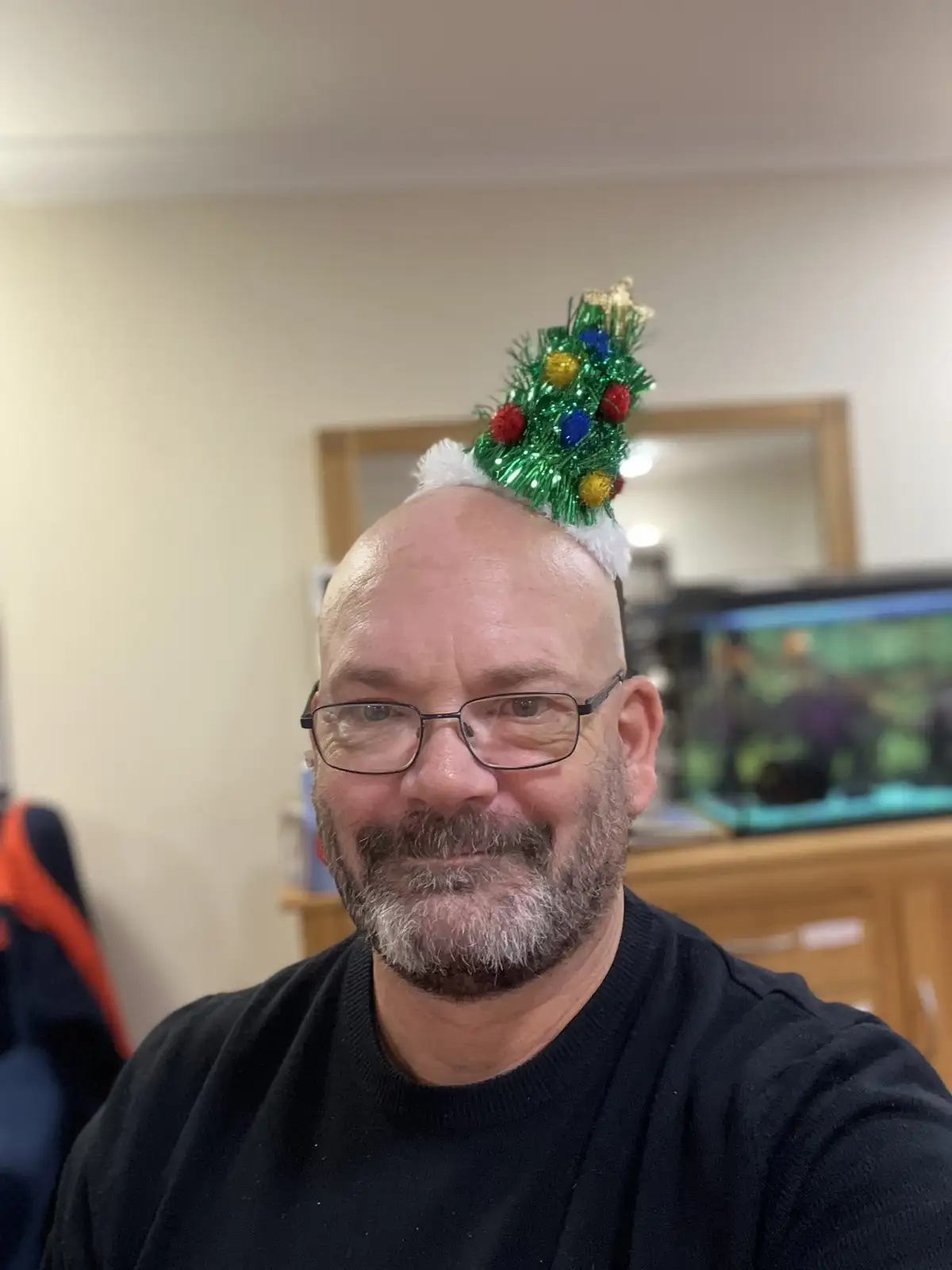 A bald man with glasses and a gray beard smiles at the camera while wearing a small, decorated green Christmas tree on top…