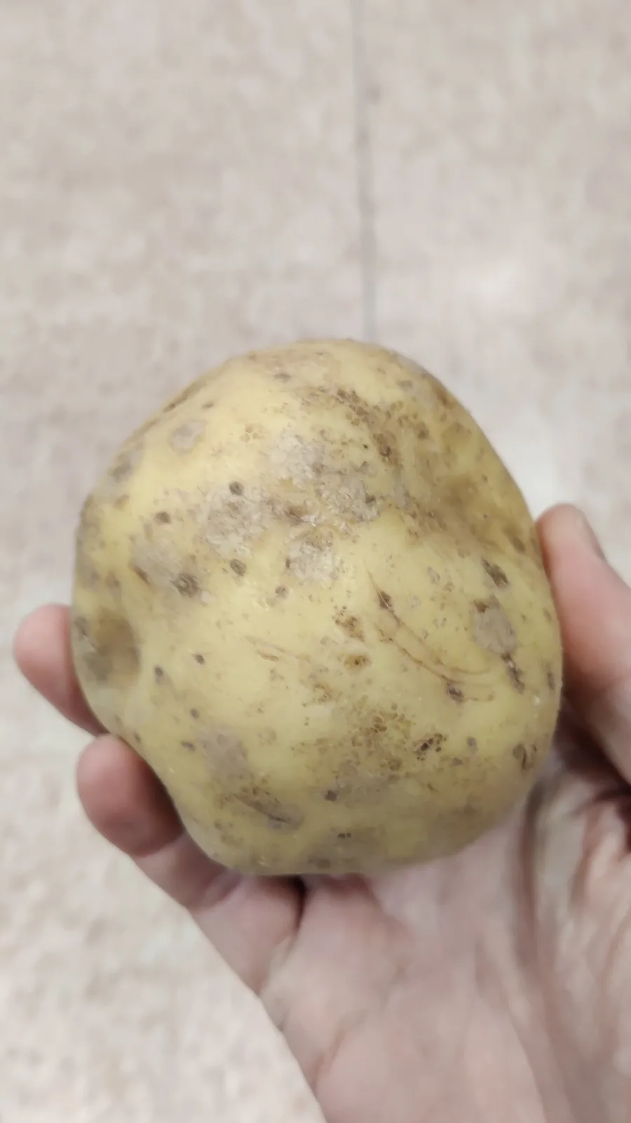A hand holds a single, unpeeled potato with a rough, blemished yellowish skin against a tiled floor background. The overlaid…