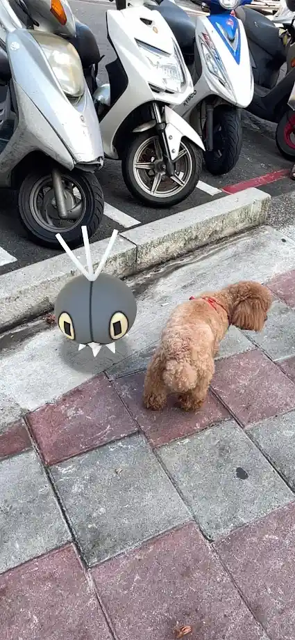 A small brown poodle walks away on a sidewalk with red and gray tiles, while a digitally added Pokémon character, resembling…