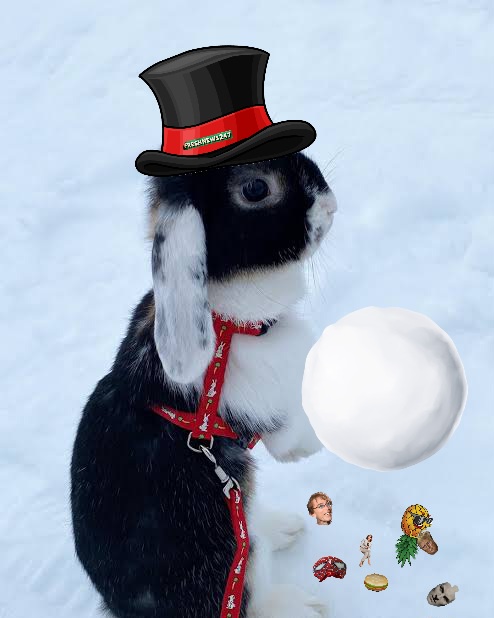 A black-and-white rabbit wearing a black top hat with a red band and a red harness stands in snow, holding a large snowball…