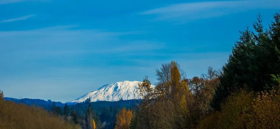A scenic landscape photo shows a snow-capped mountain under a clear blue sky, framed by autumn-colored trees in the…