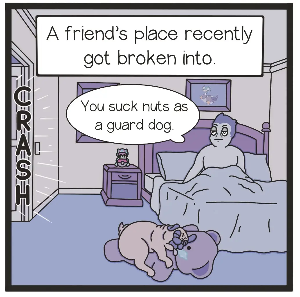 A cartoon depicts a person in bed looking annoyed as a small dog sleeps soundly on a teddy bear. A large 'CRASH' text…