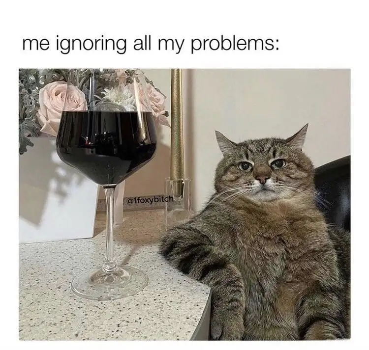 A tabby cat sits on a dark chair next to a glass of red wine on a speckled countertop, looking bored and unbothered. Behind…