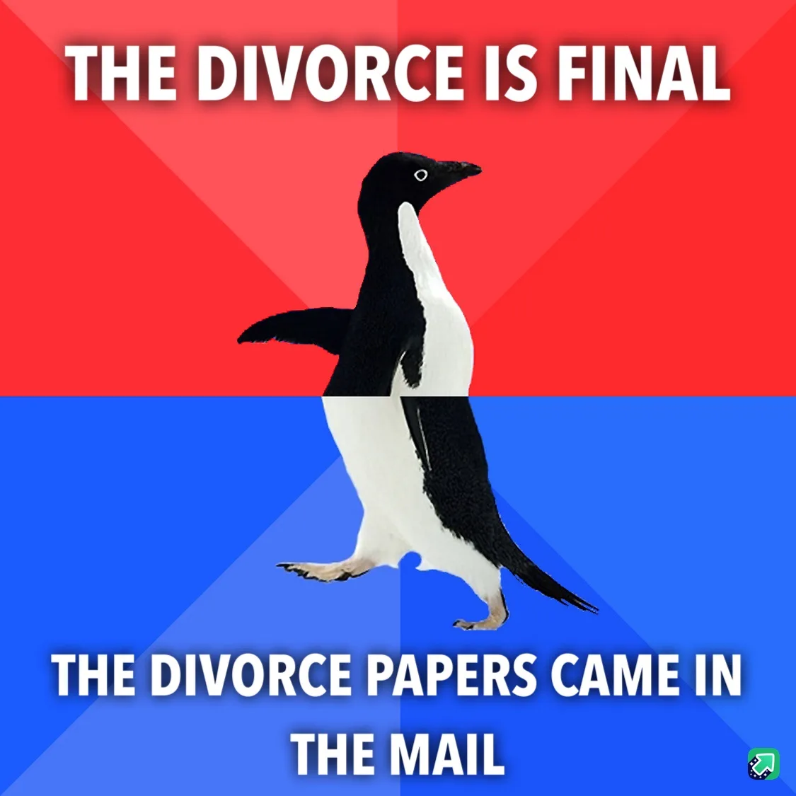The Awkward Reality of a Socially Awkward Divorce