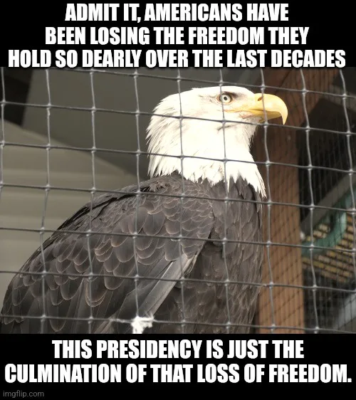 A bald eagle with a stern expression is shown behind a wire mesh fence, looking directly at the viewer. The image has two…