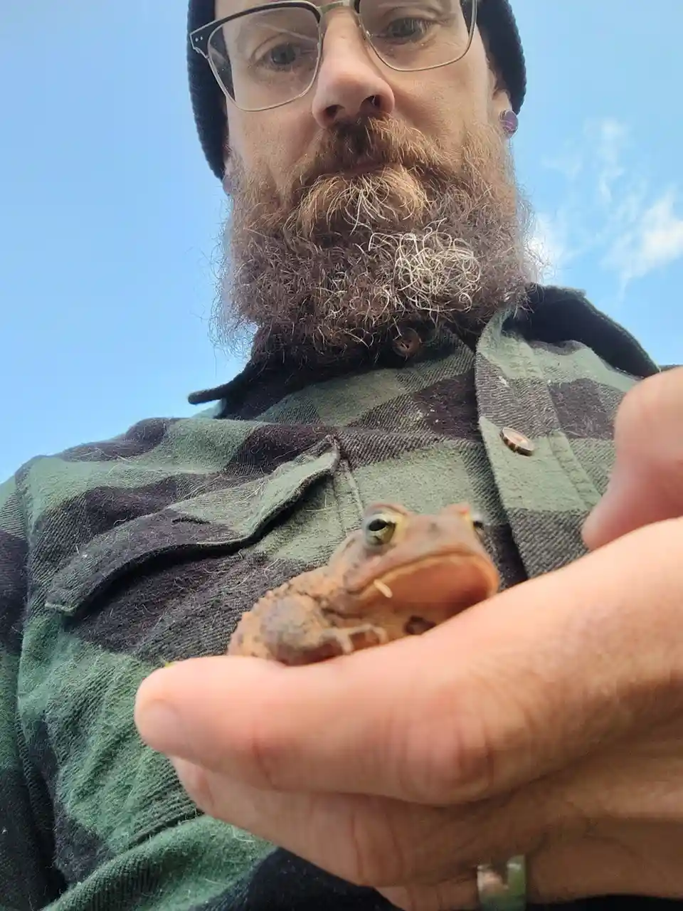 A low-angle selfie shows a bearded man with glasses and a beanie holding a small toad in his hand against a blue sky. He…