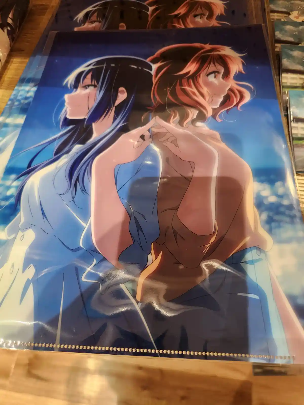 An anime illustration of two female characters, one with long blue hair and the other with reddish-brown hair, standing…