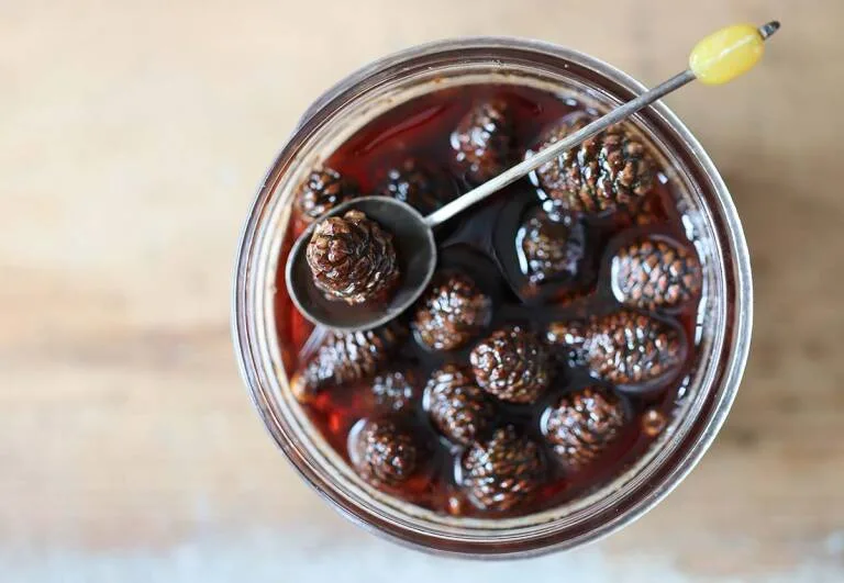 An overhead shot shows a glass jar filled with dark liquid and several pinecones submerged in it, with a metal spoon holding…