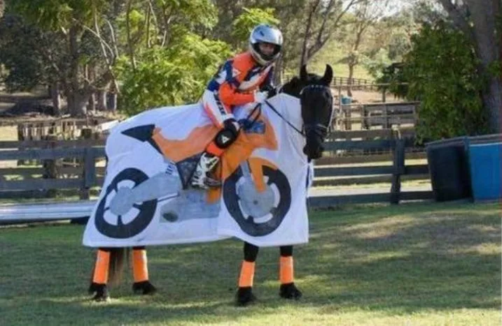 A person in full motorcycle gear, including helmet and boots, is riding a black horse that is draped in a large white…