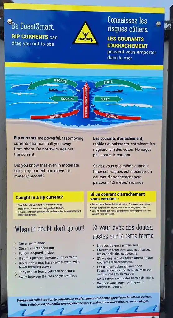 A bilingual (English/French) public safety sign about rip currents, featuring diagrams of swimmers and arrows showing…