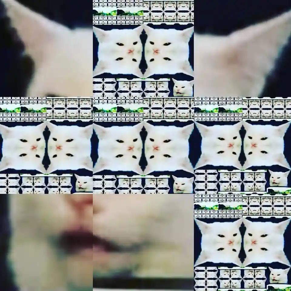 The image displays a grid of repeating, mirrored, and tiled patterns of a white cat's face, creating a kaleidoscopic…
