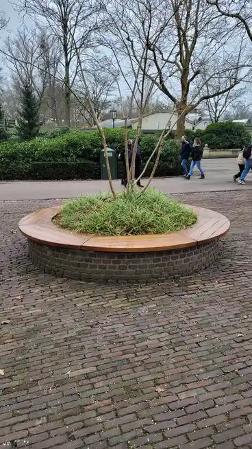 A circular wooden bench with a brick base sits in a park on a cobblestone path, surrounded by bare trees and green hedges…