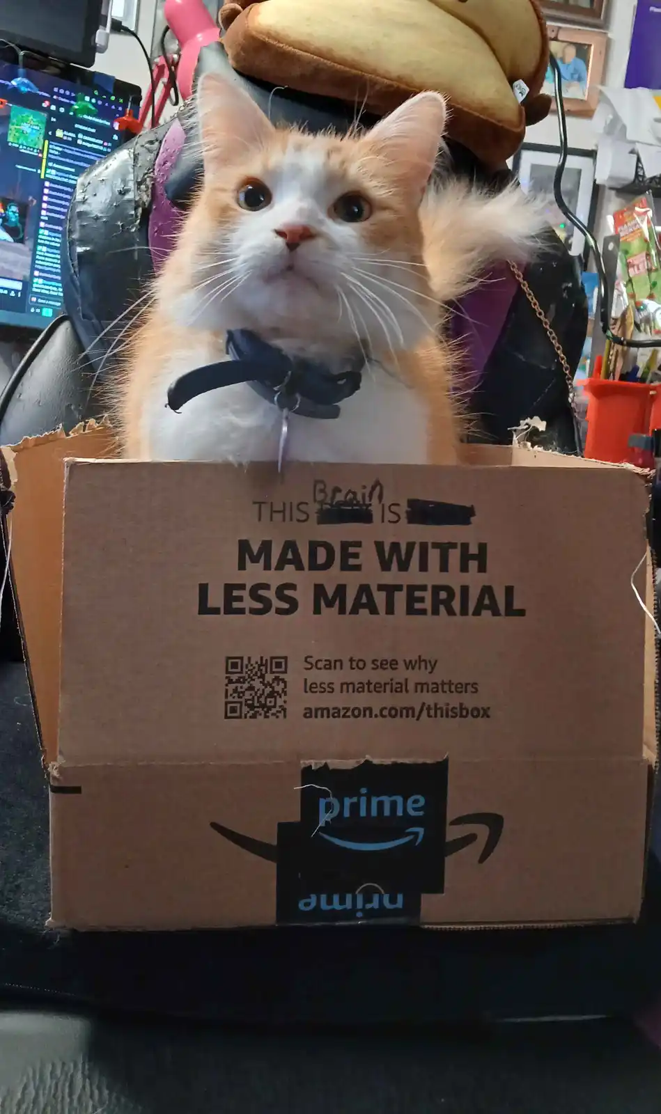 An orange and white cat with a black collar sits inside an Amazon Prime cardboard box, looking directly at the camera. The…