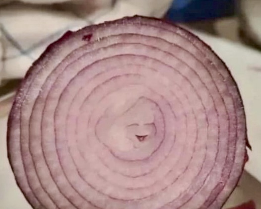 A close-up of a sliced red onion reveals concentric rings that form the faint outline of a crying face, with a small…