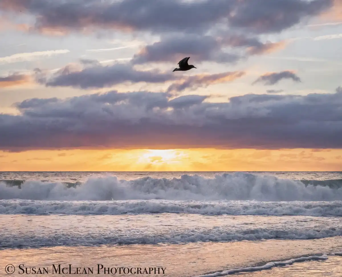 A serene sunset over the ocean with crashing waves and a single seagull flying against a cloudy sky tinged with orange and…