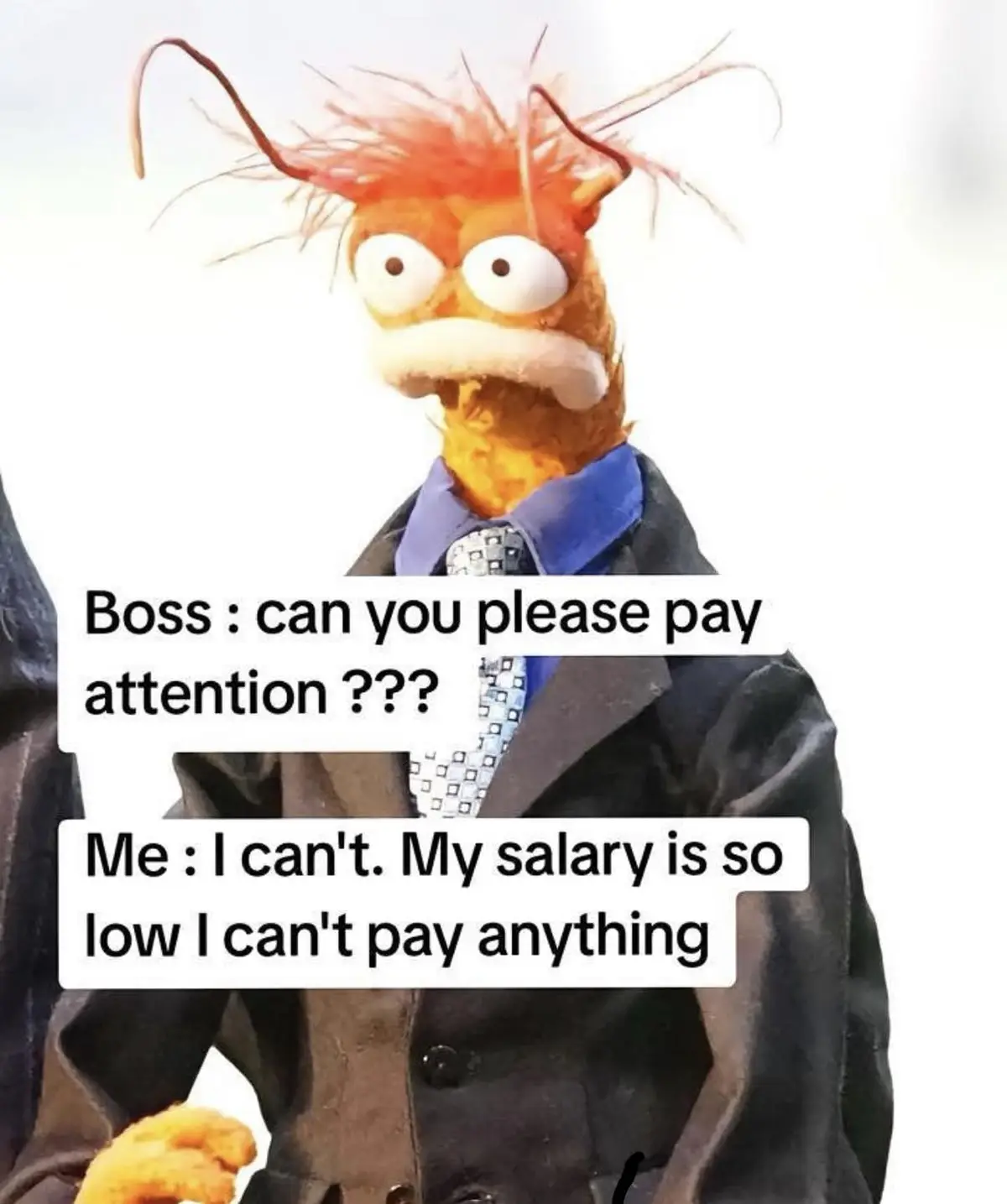 An image of the Muppet character Beaker, wearing a suit and tie, with a bewildered expression. Overlaid text shows a boss…