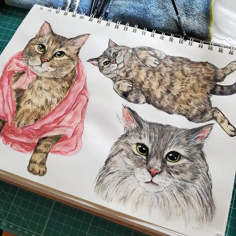 A watercolor sketchbook page displays three detailed cat illustrations: one wrapped in a pink cloth, one lying on its back…